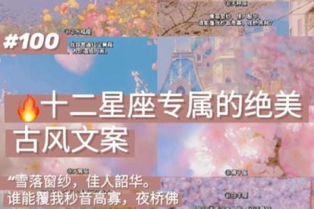 十二星座唯美句子简短