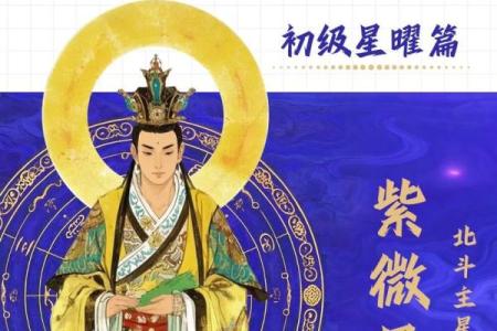 紫薇斗数+巨门星