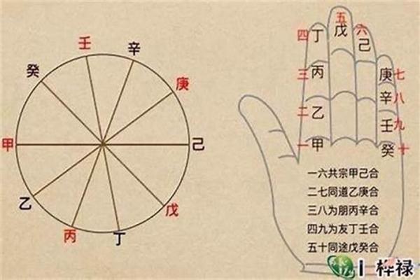 男女八字相合的字 不是同一柱相合可以吗