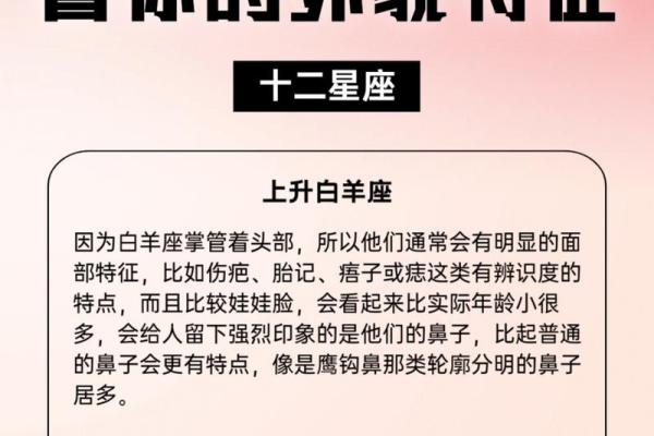 哪几个星座有高鼻梁