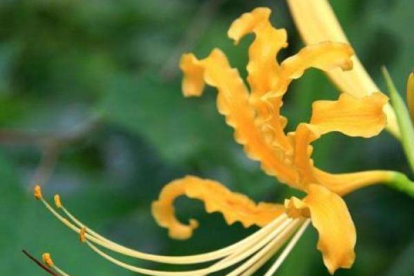 潮汕财神爷灵签19签