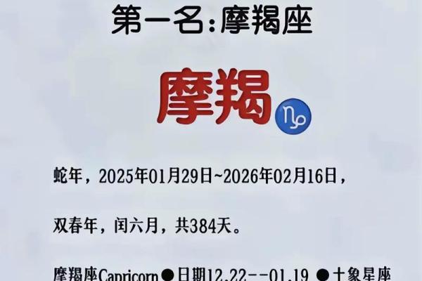 猎鹰上升星座摩羯运势2024