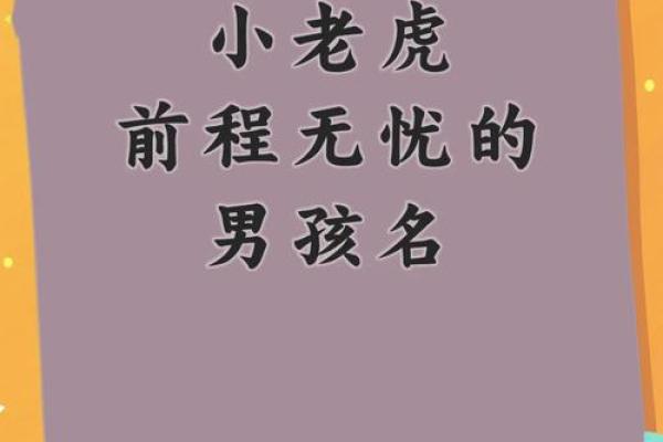 晚上8点出生的属虎男孩如何起名，宜用什么字姓名