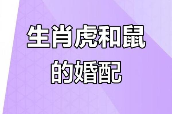 生肖虎的婚姻配对