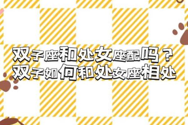 双子座男和处女座女婚姻配对如何