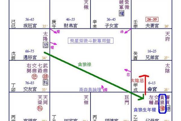 紫薇斗数中禄忌权科什么意思