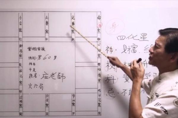 庄式紫薇斗数排盘