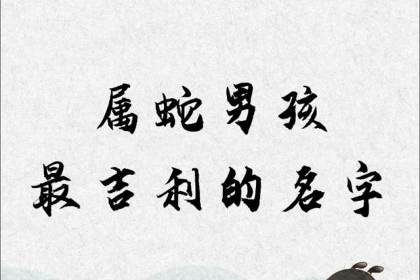 凌晨2点出生的属蛇男孩如何起名合适姓名