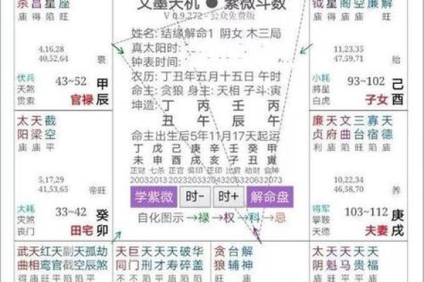 紫薇斗数工作怎么看