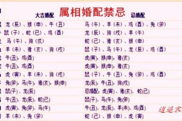 属蛇的人和属鸡的人是不是八字相合？和谁更有缘分？