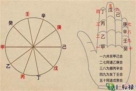 男女八字相合的字 不是同一柱相合可以吗
