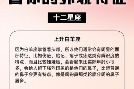 哪几个星座有高鼻梁