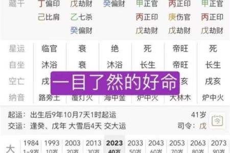 免费查命运算命 如何免费算命查询命运