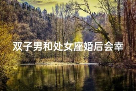 双子座男和处女座女婚姻配对如何