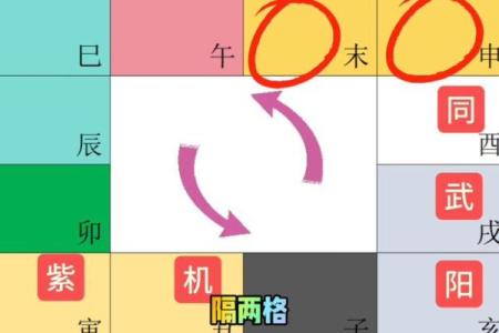 庄式紫薇斗数排盘