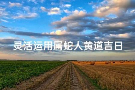 2024年正月属蛇人开业好日子 适合属蛇人的开张吉日