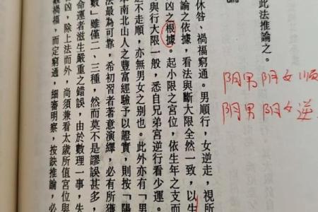 东有小山紫薇斗数