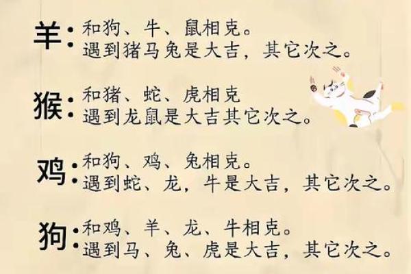 属牛正缘出现在哪年 属牛人婚姻配对表