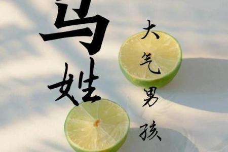 二月份出生属马的男孩该取什么名字姓名