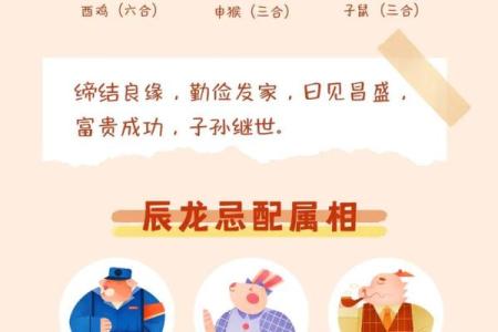 属龙的跟属龙的结婚属上等婚吗 配对要注意什么