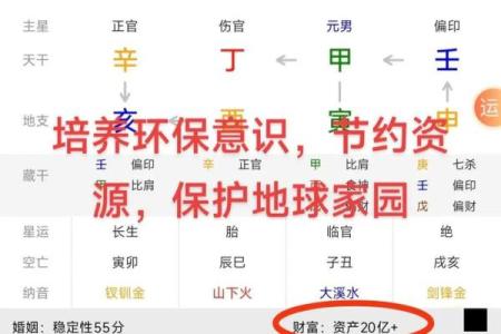 免费四柱八字排盘详解