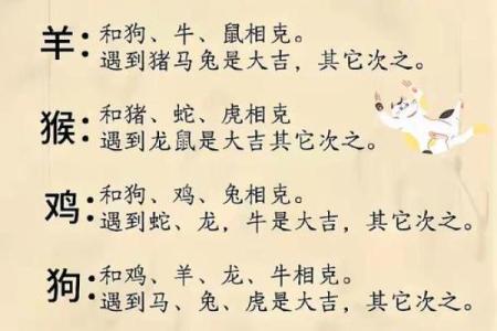 属牛正缘出现在哪年 属牛人婚姻配对表