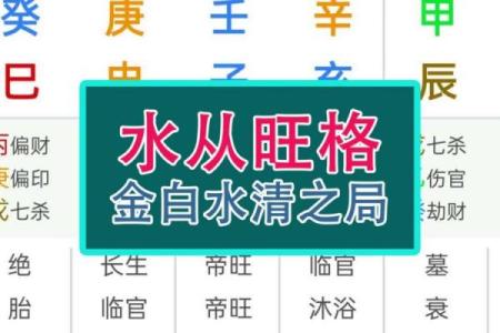 八字从旺格局是什么意思