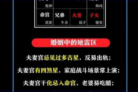 配对盘怎么看,配对盘解读