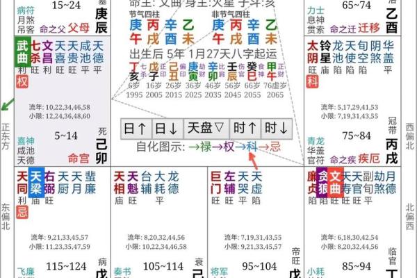 科紫薇斗数
