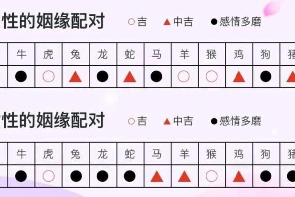 生肖龙和配对的魂伴