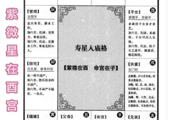 命理学紫薇斗数
