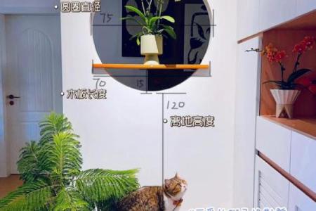 居家玄关装修风水知识