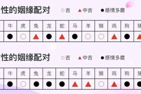生肖龙和配对的魂伴