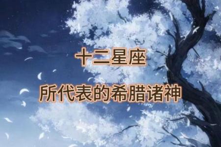 12星座的守护之神 你在被谁守护着