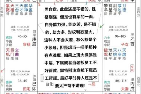 命理学紫薇斗数