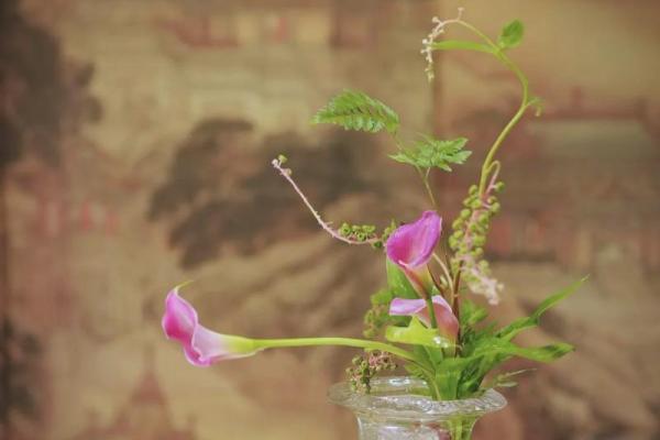家庭插花 风水