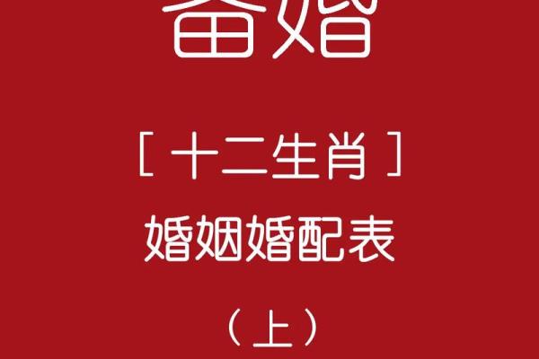十二肖和十二生肖配对,十二生肖最佳婚配表是怎样的？