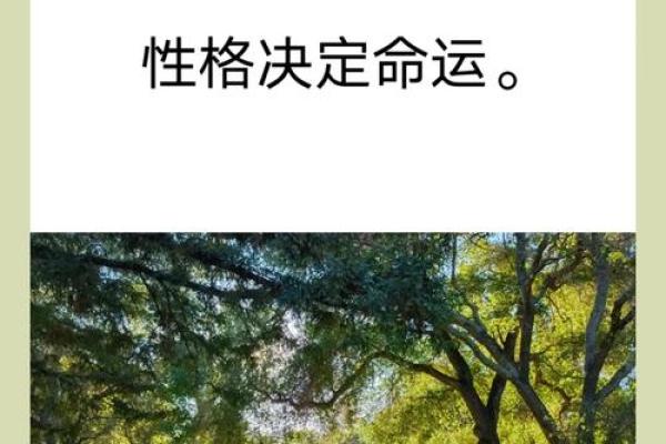 决定女人命运的四大风水，你一定还不知道！