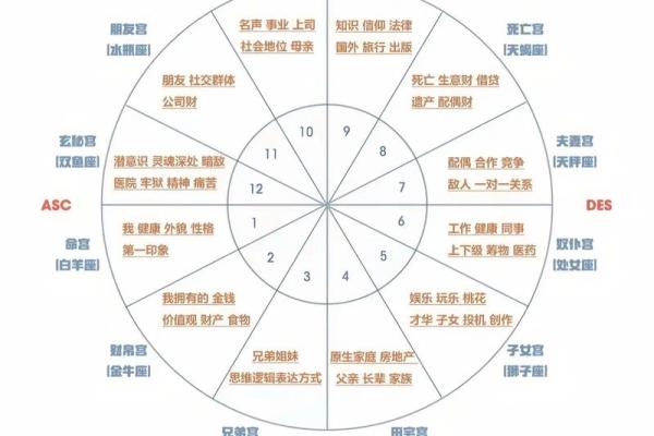 张雨绮的星座星盘解析及性格分析