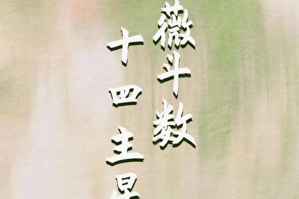 国学通鉴之紫薇斗数