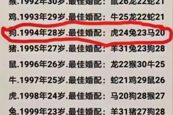 94年狗和94年狗是上等婚吗 两只94年生的狗配对算是高配婚姻吗