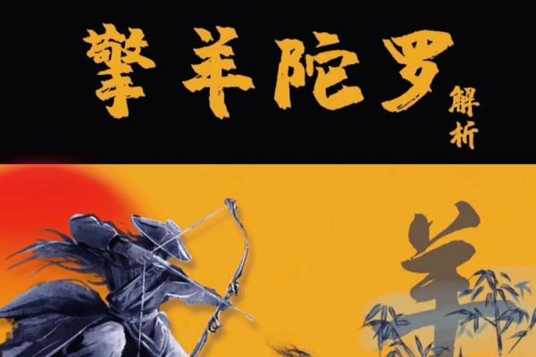 紫薇斗数财帛官陀螺