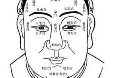 额头胎记算命图解