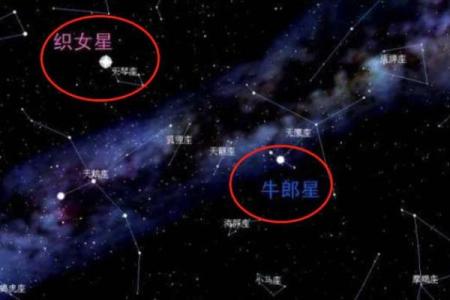 牛郎星是什么星座