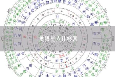 紫薇斗数婚姻墓
