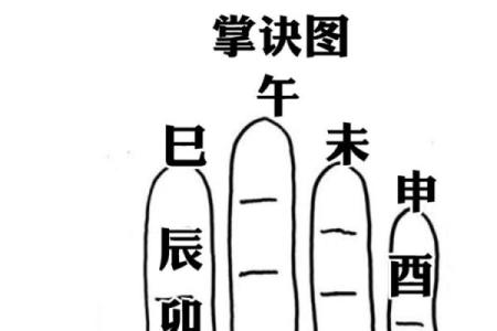 紫薇斗数掌决