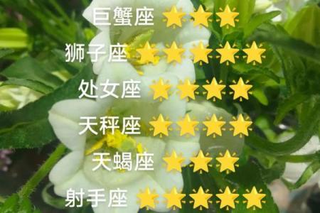 白羊座下一个星座运势