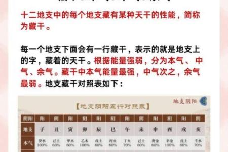 如何解八字