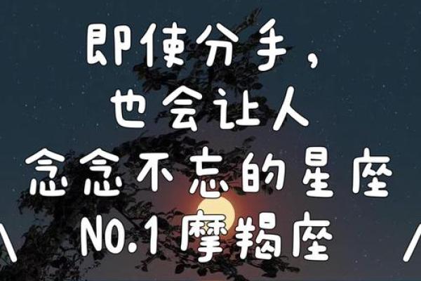 念念不忘，终成眷恋的星座伴侣