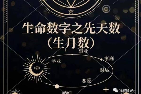 生命灵数2和5配对到老吗